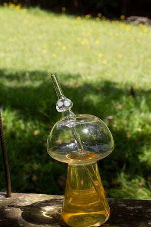 Mushroom Tumbler