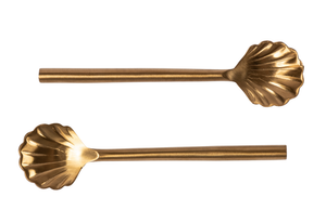 Shell Coffee Spoons Set of 4