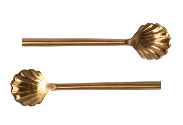 Shell Coffee Spoons Set of 4