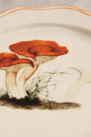 Plato Hongos